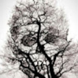 Meet your Posher, Maryann